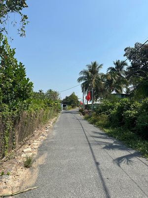 Bán đất ngay trường thcs bình phước – mang thít - vĩnh long — ảnh 1