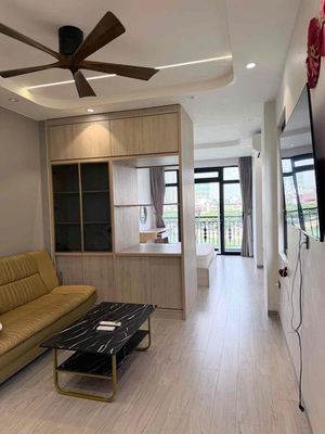 Cho Thuê Căn Hộ 1 Phòng Ngủ Gần Chợ Tân Định, CV Lê Văn Tám Quận 1 — ảnh 1
