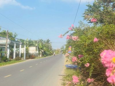 300m2 thổ cư, gần TP.HCM, tiện cất nhà định cư — ảnh 1