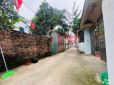 Bán đất tặng nhà 2 tầng full nội thất, Phúc Lợi, Long Biên, giá nhỉnh — ảnh 1