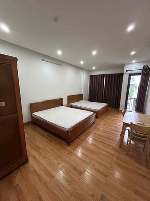 Cho thuê nhà nguyên căn 7 phòng gần cầu rồng — ảnh 1