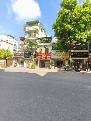 Nhà Long Biên, 48m2, Vỉa Hè, Kinh Doanh, Hơn 9 Tỷ — ảnh 1