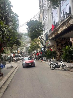 Nhà đẹp ở ngay Cầu Giấy, ô tô tránh, view vườn chơi — ảnh 1