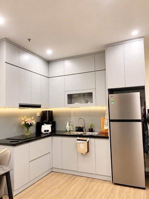 Cho thuê căn hộ 1N full đồ toà Canopy (TC1) giá 9.5tr — ảnh 1