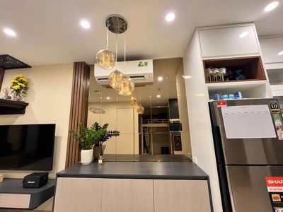 Bán căn hộ 1N+ 43m2 tại Vinhomes Smart City — ảnh 1