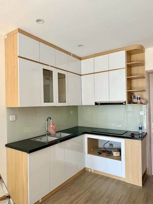 Cho thuê căn hộ 1N+ full gỗ tòa Gs - Vinhomes Smart City - 8.5tr — ảnh 1