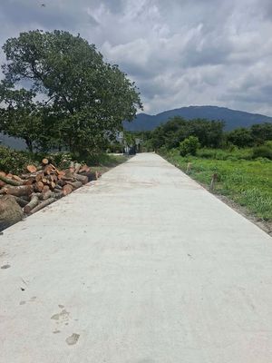 Bán lô đất nền ngay chợ Suối Cát, Xuân Lộc, Đồng Nai, thổ cư sổ riêng — ảnh 1