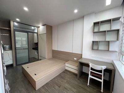 Cho thuê căn hộ mini 1 ngủ tách bếp (27m2) KĐT Waterfront City. — ảnh 1