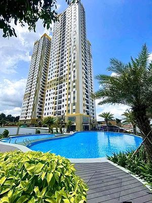 Cho thuê căn hộ tecco tân an diamond boulevar — ảnh 1