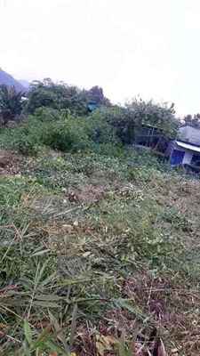 Cần Bán Đất Gấp — ảnh 1