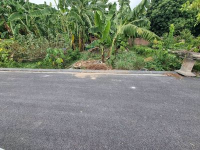Bán đất 45.5m² Xuân Nộn, Thư Lâm, giá nhỉnh 2 tỷ — ảnh 1