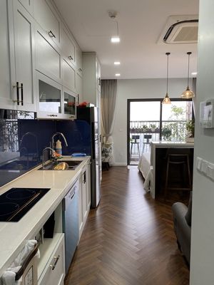 Studio Hồ Tây - 33.8m² - 3.8 tỷ — ảnh 1