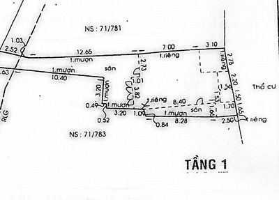 Bán đất tặng nhà cấp bốn — ảnh 1