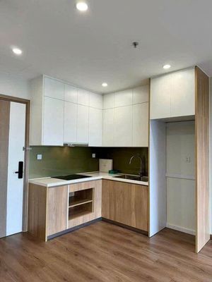 Cho thuê căn hộ 1PN+ Vinhomes Smart City view bể bơi — ảnh 1