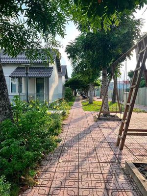 Cho Thuê Căn Hộ Mini Trệt Sân Vườn Phú Thọ Sát Bờ Sông Sài Gòn — ảnh 1
