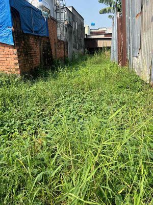 Đất TP HCM bao quy hoạch, bao tranh chấp, bao xây dựng được ngay — ảnh 1