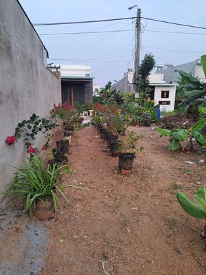 Đất nền thổ cư 90 m2 đường 12 m sổ hồng có dư phía sau 55 m2 trồng cây — ảnh 1