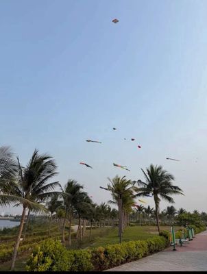Bán nhà Bờ Quan cạnh công viên Đầm Sen — ảnh 1