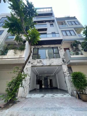 Nhà VIP khu Ngọc Thụy - Không có gì để chê - 22.5 tỷ — ảnh 1