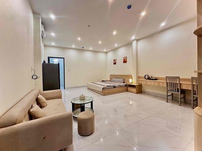 CĂN HỘ 1 PHÒNG NGỦ 50m2 ( gần biển, gần cầu rồng, cho nuôi pet) — ảnh 1