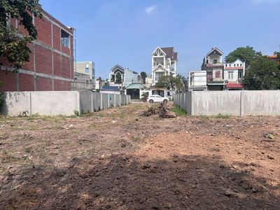 Bán đất xây biệt thự nhà vườn nhà liền kề đông hòa dĩ an bình dương — ảnh 1