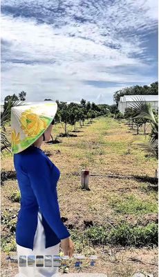 Đất trung tâm phú giáo – cách chợ 200m, giá chỉ 750 triệu! — ảnh 1