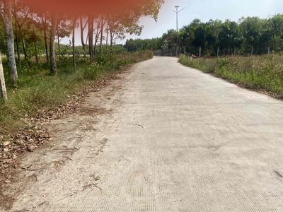 Bán đất CLN tại Chánh Phú Hoà — ảnh 1
