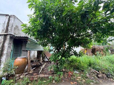Nhỉnh 2 đ / ta có ngay miếng thổ cư 62 m2 tại thạnh xuân / q12 — ảnh 1