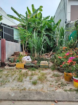 Đất kđt hòa xuân – hoàng minh giám - 100m² - chỉ 4,4 tỷ — ảnh 1
