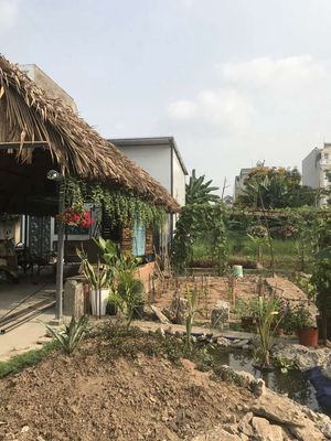 Cho thuê nguyên căn cấp 4 mt 7m Đường 35CL Rộng 24m — ảnh 1