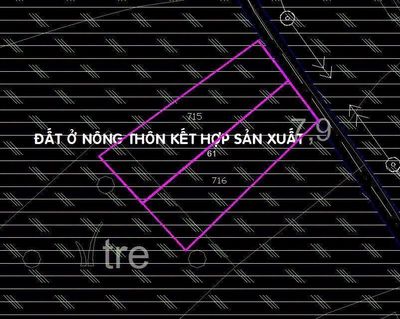 Bán đất mặt tiền đường nhựa, xã Trung Lập Hạ, Củ Chi — ảnh 1