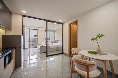 Cho Thuê Căn Hộ 1PN Mới Ban Công Gần Nhà Thờ Tân Định, Cầu Kiệu Quận 1 — ảnh 1