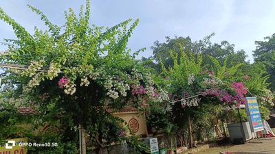 Cần Bán Nhà Mặt Đường Lớn Quang Trung - Thanh Hoá — ảnh 1