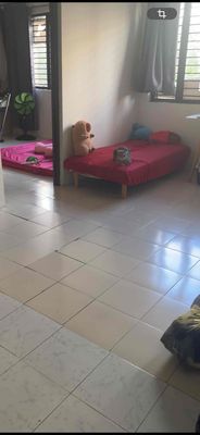 Bán cc tây thạnh lầu 1 dt 58m 2p 1vs giá 2.8ty — ảnh 1