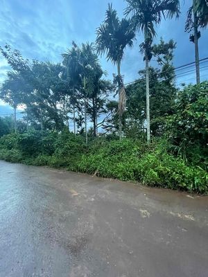 Bán đất chính chủ - Phường Tân Lập — ảnh 1