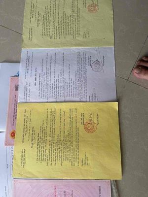 Bán nhà nuôi yến và nhà ở + phòng trọ — ảnh 1