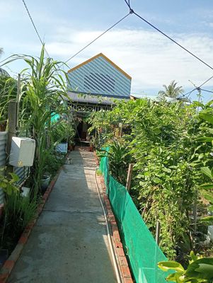 Nhà cấp bốn — ảnh 1