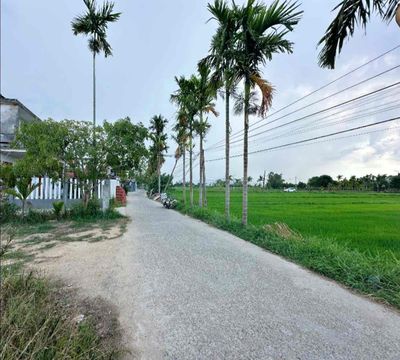 Chính chủ cần tiền bán đất hoà xuân giá rẻ — ảnh 1