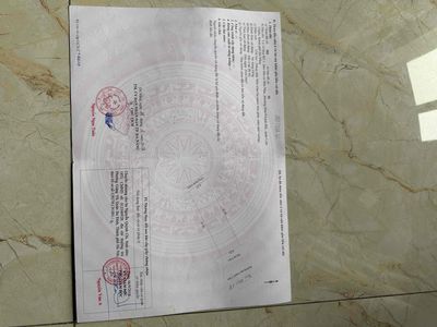 Quá rẻ quá đẹp để xún tiền khách ơi — ảnh 1