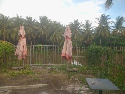 Bán Đất — ảnh 1