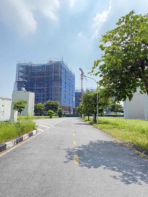 Cần tiền cắt lỗ — ảnh 1