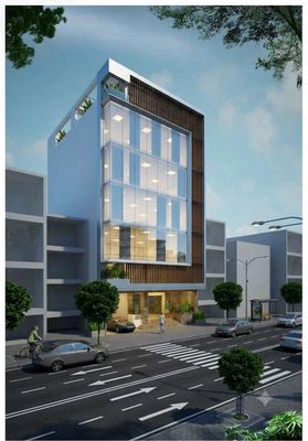 Toà nhà vườn lài 12x20m — ảnh 1