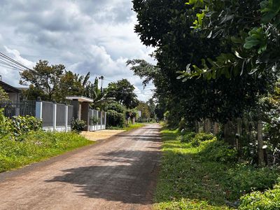Bán lô đất cạnh đường tránh đông — ảnh 1