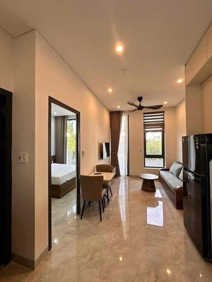 Cho Thuê Căn Hộ 1 Phòng Ngủ Full Nội Thất Đầy Đủ Tiện Nghi Ngay Q7 — ảnh 1