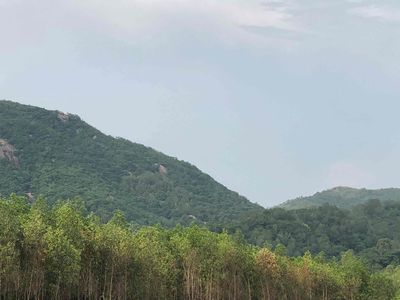 Cần tiền bán rẻ đất — ảnh 1
