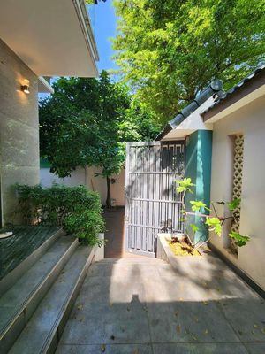 Cho thuê biệt thự có hầm — ảnh 1