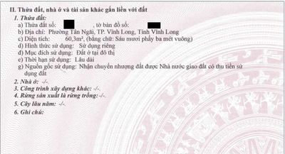 Bán đất mặt tiền kdc thổ 100% chính chủ — ảnh 1