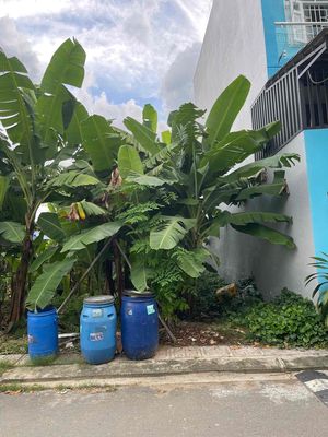 Lô Đất Hẻm Xe Hơi Full Thổ 54m2 Giá 3.25 Tỷ — ảnh 1
