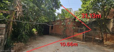 333m2 Tân Thới Hiệp - Giá đầu tư — ảnh 1