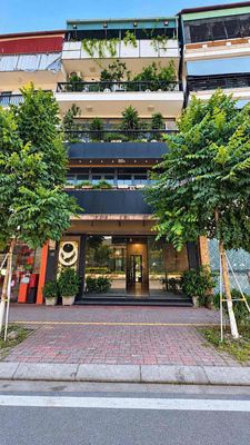 Cho thuê mbkd mặt phố trần khát chân — ảnh 1